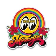F.B.D MOON Rainbow Decal DM033