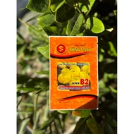 American marigold seeds F1 tall, lemon yellow, Super B2 (Large flower, dwarf green pistil) Golden dr