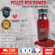 pelet red power premium pakan ikan channa 40 gram pelet power red premium