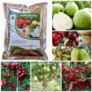 Pupuk Booster Jambu Organik Agar Cepat Berbuah Lebat Vitamin Perangsang Pembuahan Buah Saat Sedang B