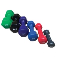 Dambel Iron Dumbbell/ Barber/ ROXVINLY