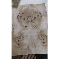 Flutter poplar burl