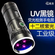 ไฟฉายตรวจจับ UV กำลังสูง 365nm