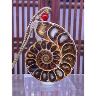 Premium Grade Ammonite crystal slab pendant (螺片)- 38.2g