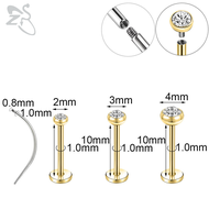 1 Set Lip Piercing 16G/18G Lip Piercing 2/3/4/5mm Crystal Stud Earring Lobe Earring Multiple Sizes E