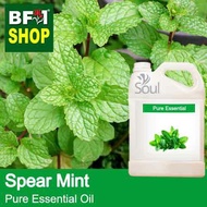 Pure Essential Oil (EO) - Mint - Spear Mint Essential Oil - 5L