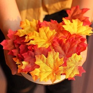 Maple Leaves, 10 - 50 pcs Maple Leaf/s Maple Leaf/s Maple Leaf/s Craft Material/s
