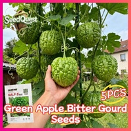 Legit 5pcs High Yield Round Green Bitter Gourd Seeds for Planting Vegetables Plants Fresh Green Appl