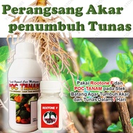 PAKET PENUMBUH AKAR STEK CANGKOK POC T DAN ROOTONE F / Penumbuh akar tanaman stek / Penumbuh akar pa