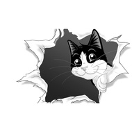 3D PVC Black Cat Patch ~ 9 lives (Feed the Strays)