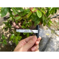 Dell Inspiron 5555 5558 5559 Vostro 3458 3459 3558 3568 Hard Drive Cable 0H5G06 NBX0001QE00