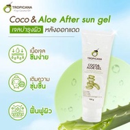 Tropicana 椰子蘆薈凝膠 100克