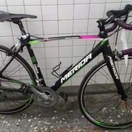 Merida scultura 300