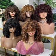 pixie curly fringe wig 12inch Glueless Lace Wig Human Hair
