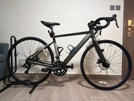 JAVA LAMPO (忍痛割愛)(連車架水樽架等單車配件)(九成新)