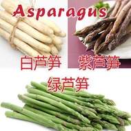 Benih Asparagus Traditional(15 Seeds)/ 芦笋籽 /Asparagus Family Seeds