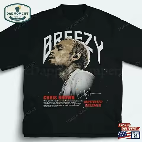 Chris Brown Breezy 11 Tour Hoodie, Oversized Streetwear Sweatshirt, Fan Merch