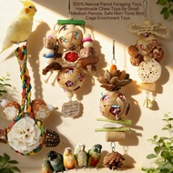 Parrot Toys | Chew Toys & Birdcage Accessories | Budgie, Cockatiel, Lovebird, Sun Conure, Quaker, Pa