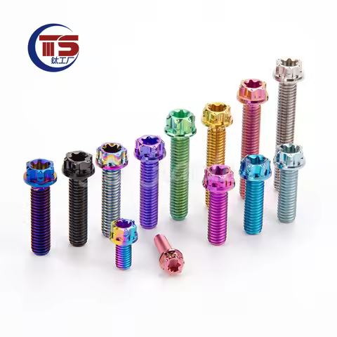 TS 10pcs Factory Gr5 Titanium Screw M5/M6X8/10/15/20/25/30/35/40mm Motorcycle Modification Screw