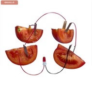 OKHALLO Fruit Battery Science Experiment Kit, Bio Energy STEM Experiment Kit Electricity Experiments