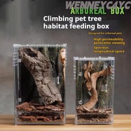 WENNEYC4YC 1Pcs Reptile Feeding Box, High Transparent Acrylic Ecological Desert Landscaping Box, Ant