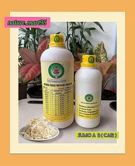 SUMO 8 Cair tauge ( Peningkat Bobot Tauge/ Pemutih tauge/ Tauge Organik Jepang Super )