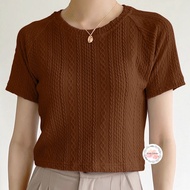 Twinkle Plus Size Texture Knit Raglan Sleeve Top 31132