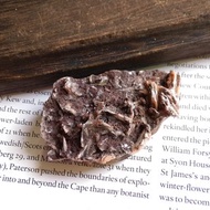 Barite 江西產地 重晶石 共生礦 天然礦石 原礦