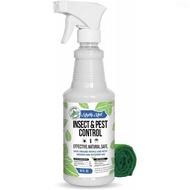 MightyMintPeppermintOilInsectRepellentSpray,16oz|Indoor&OutdoorBugControlforSpiders,Ants,Roaches,Pla
