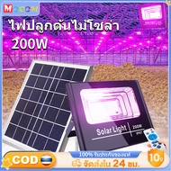 ไฟปลูกต้นไม้โซล่าเซลล์ ไฟโซล่าเซลล์ 200W ไฟledปลูกต้นไม้ ไฟปลูกต้นกันชา ไฟเลี้ยงต้นไม้ เหมาะสำหรับพืชทุกชน โตเร็ว2เท่า แสงสีม่วง