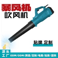 Discount Super Power Blower Storm Dryer Hair Dryer 110V/220V Hair Dryer