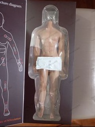 Brand new 1/6 包膠素體 肌肉素體 男素體 嵐素體 jiaou doll 可換 tbleague hottoys 其他 1:6 兵人 或 手辦 figure 模型