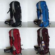 Deuter Futura Pro 65+ Backpack