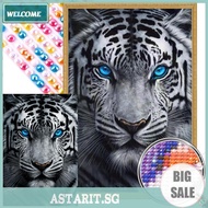 5D DIY Full Round Drill Partial AB Diamond Painting White Tiger 45x65cm