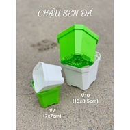 Combo of 5, 10 pieces Very pretty mini plastic pots for growing succulents and cacti (7x7cm, 10x8.5c