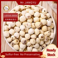 (3A)Lotus Seed 磨皮莲子Kacang Teratai 100g~500g -Mr.JANG YU