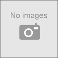 タカラスタンダード　SCDテールピース　【品番：10145175】●