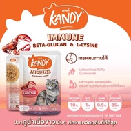 อาหารเปียกแมว แคนดี้ Kandy ปลาทูน่าเนื้อขาวในเยลลี่ 70g.x48ซอง (ยกลัง)