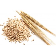 原味 Original 1200g/280g