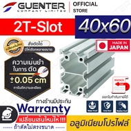 อลูมิเนียมโปรไฟล์ 40x60 2T-Slot มีหลายขนาด (สั่งตัดได้ ขนาด cm) ยาวสุด 2 เมตร สินค้ามาตรฐาน คุณภาพดี