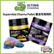 Supervital Channa Pellet 80g fish food pellet enhance color naik warna ikan channa toman 雷龙增色饲料