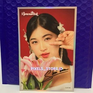 Photoprint Shani JKT48 - Benefit Rose VIP 2023