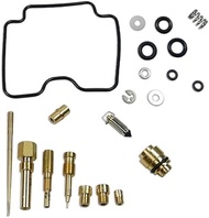 DP 0101-159 Carburetor Rebuild Repair Parts Kit Compatible with Yamaha 00-04 YFM400 Big Bear 400 2WD