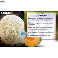 (100 Biji) F1 Glamour Melon Benih Sakata  Rock Melon