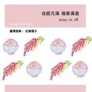 Plant Happiness 種子婚禮小物/紅藜/2g標準版/客製英文名
