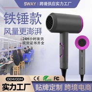Negative Ion Hair Dryer American Standard Household Constant Temperature High Power 110v Hair Dryer