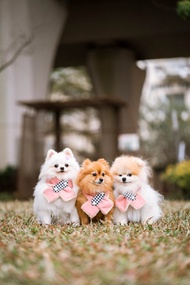 【寵物冬日必備】NECK WARMER 毛茸茸頸巾 - 粉色