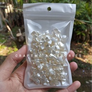 25g BW Ribbon Scoop Beads/Mote Topping