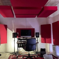 PREMIUM Professional CEILING Acoustic Panel / Ceiling Soundproof Panel / Ceiling Panel | ASWARI ACOU