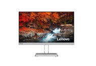 Monitor 23.8'' LENOVO L24i-40 (IPS, VGA, HDMI) 100Hz